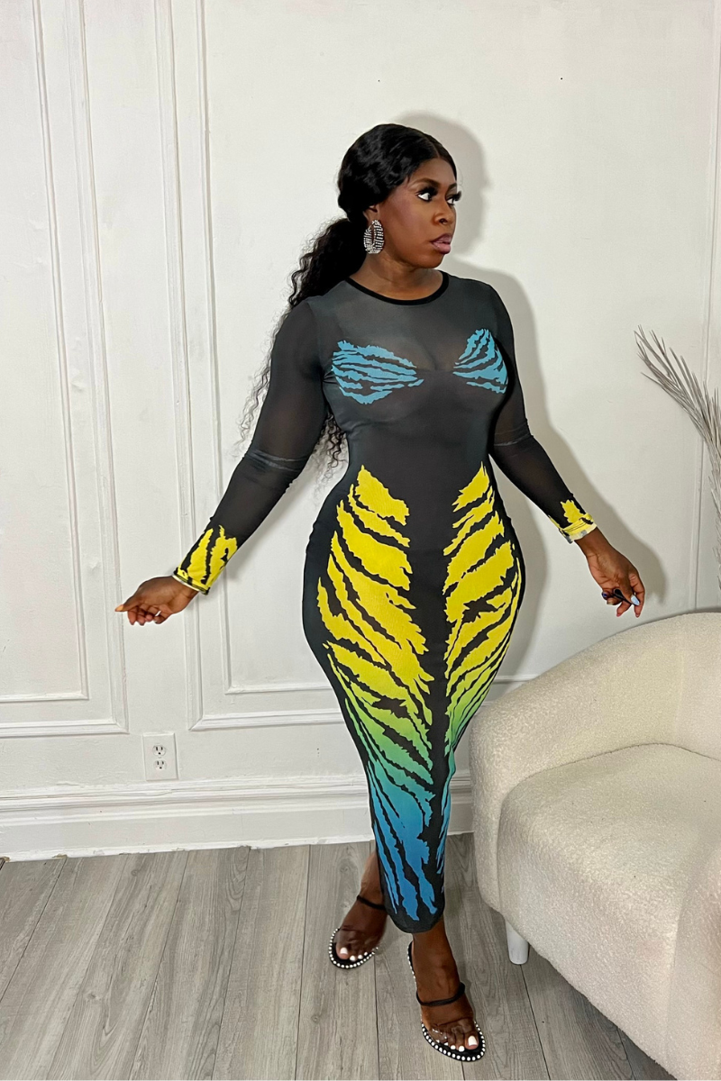 LUMIERE MESH DRESS (BLACK)