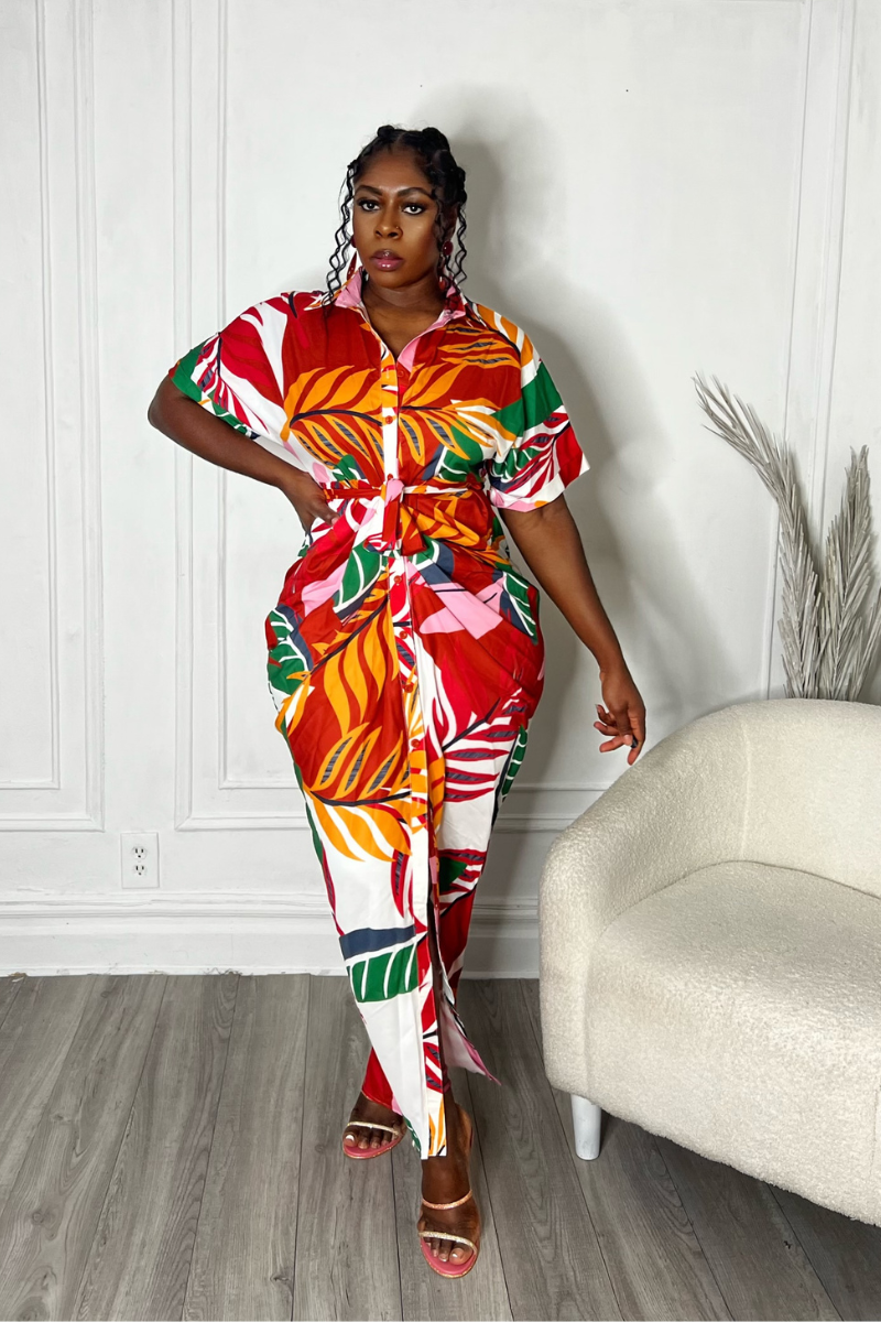 INA BUTTON DOWN DRESS