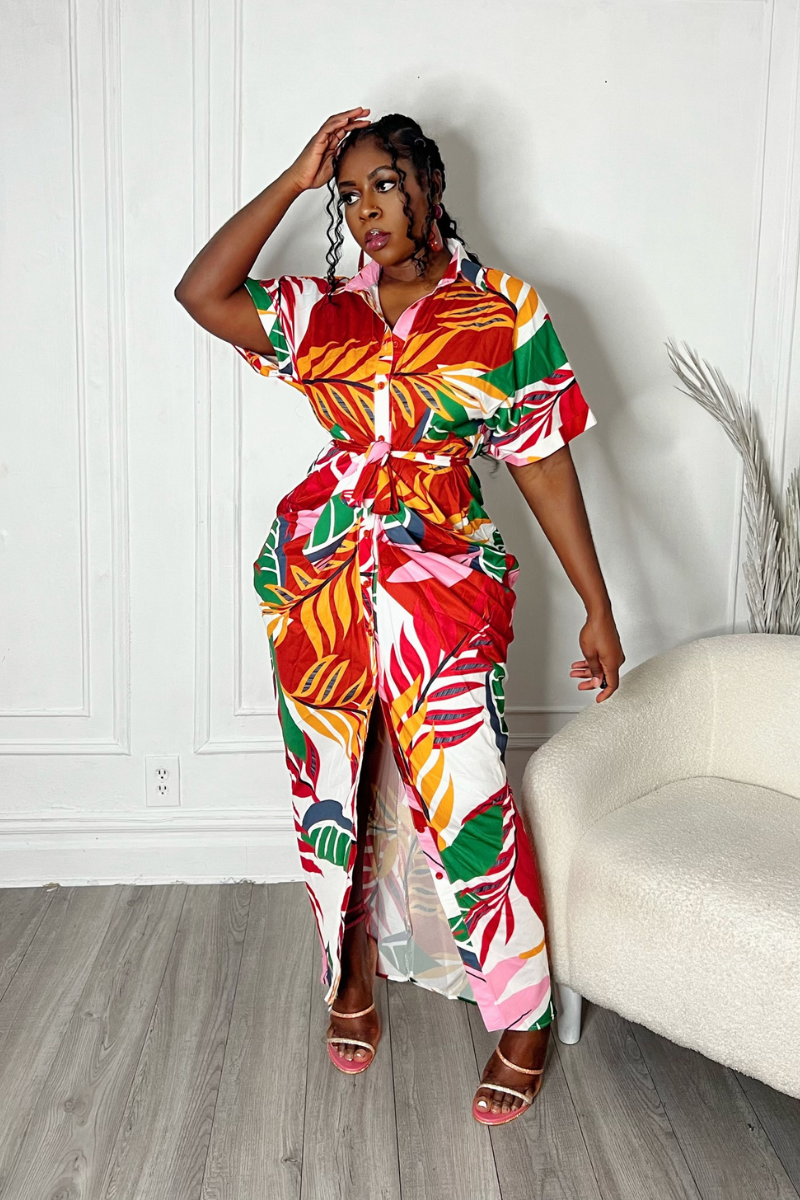 INA BUTTON DOWN DRESS