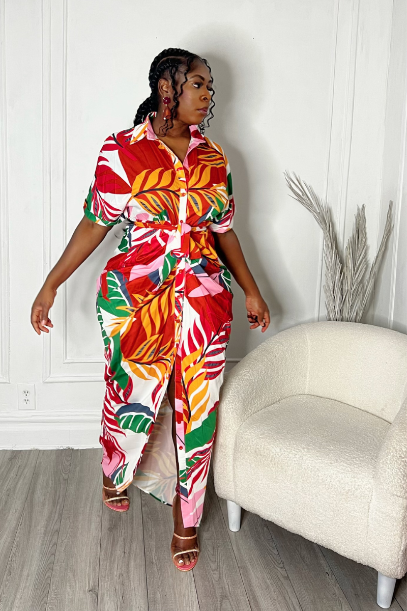 INA BUTTON DOWN DRESS