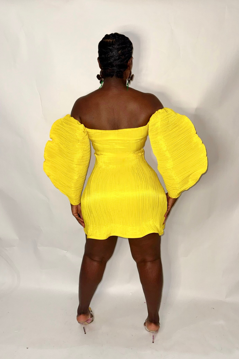 ISADORA MINI DRESS