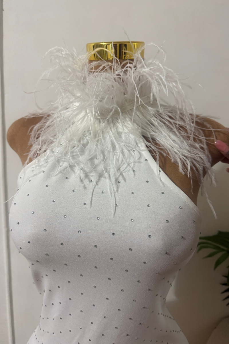 ASTER RHINESTONE FEATHER MINI DRESS