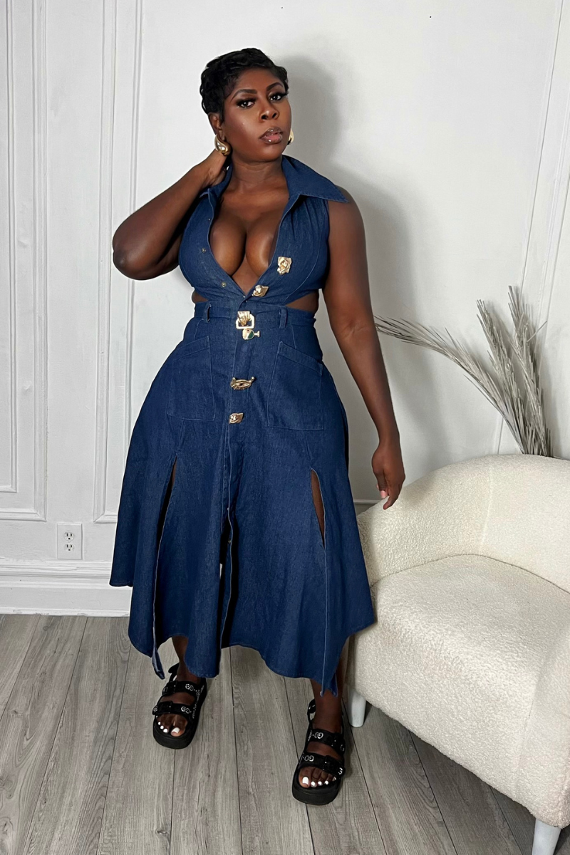 RICHIE DENIM DRESS